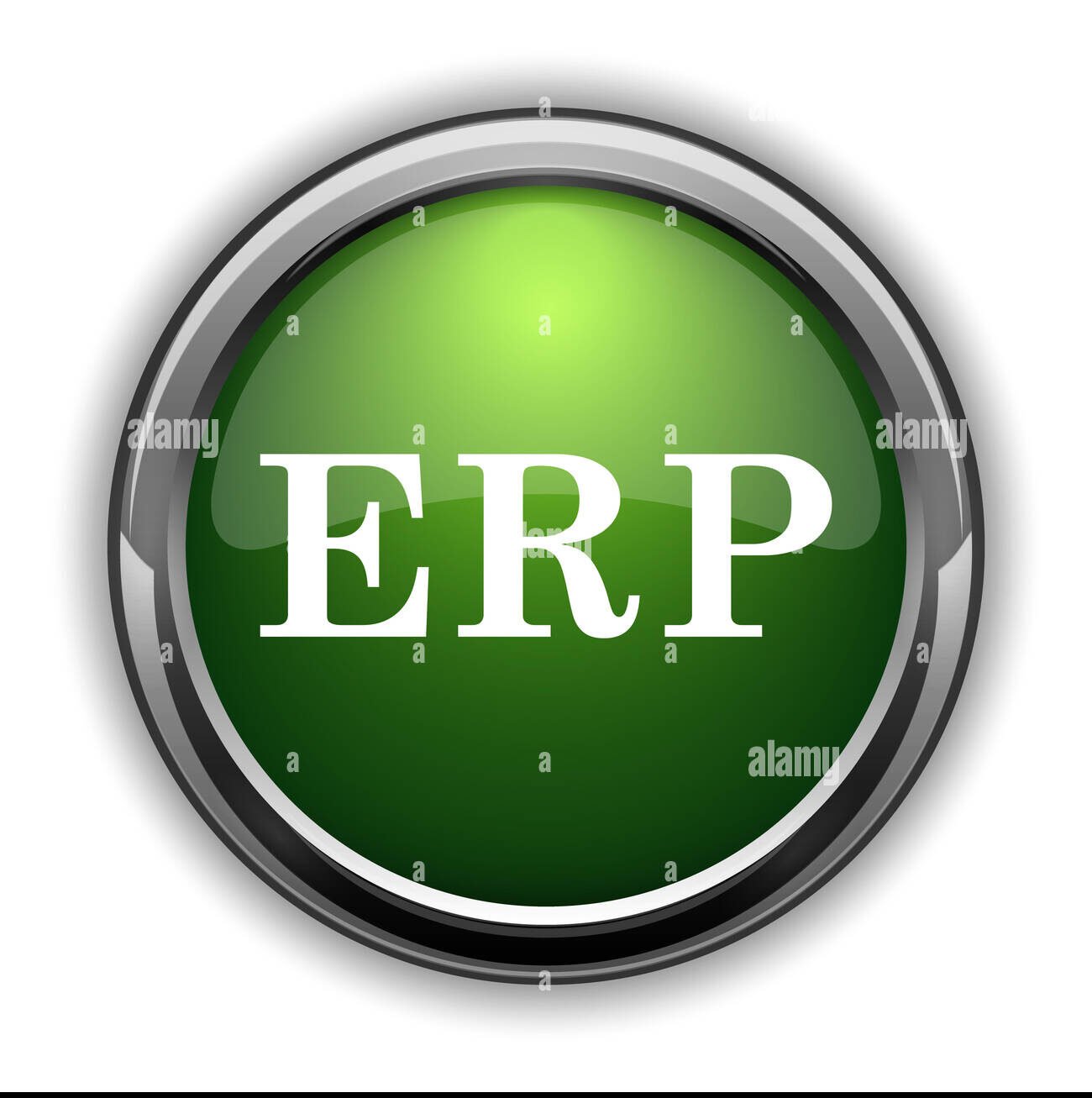 ERP ID