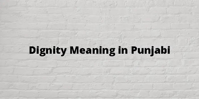 Dignity Meaning in Punjabi