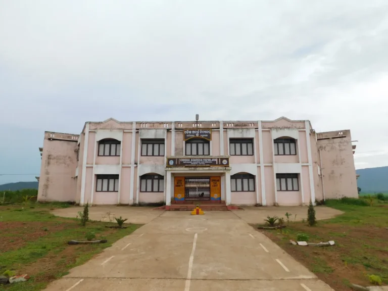 Odisha Adarsha Vidyalaya, Matiagarh, Jashipur