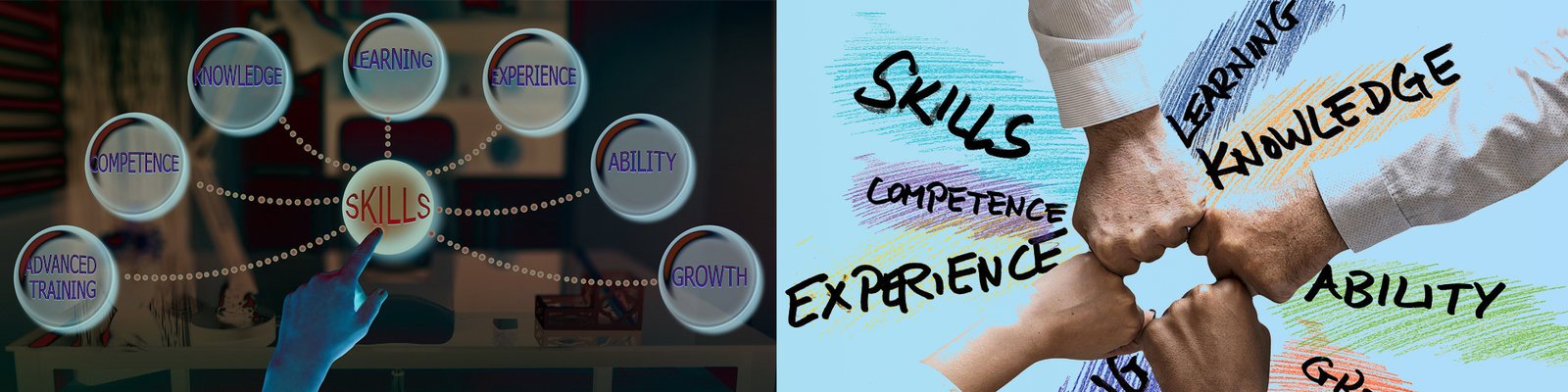 CBSE Skill Education