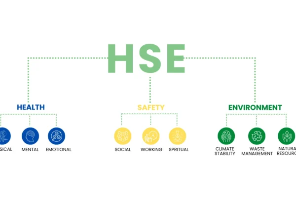 HSE Full Form in Education