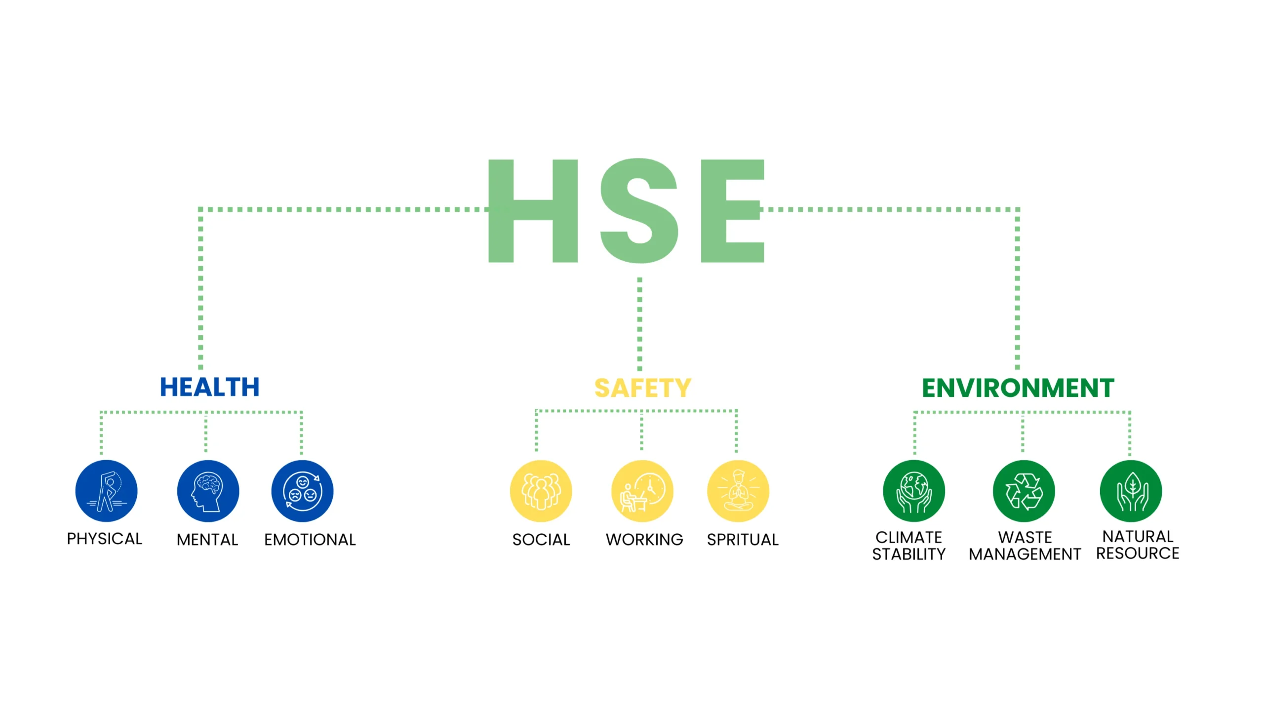 HSE Full Form in Education