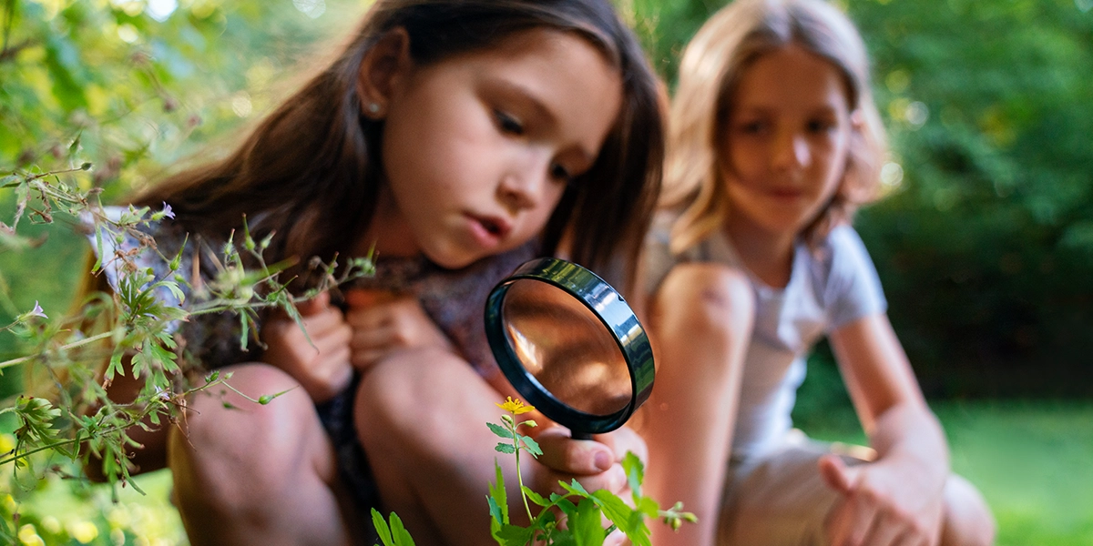 Naturalism in Education