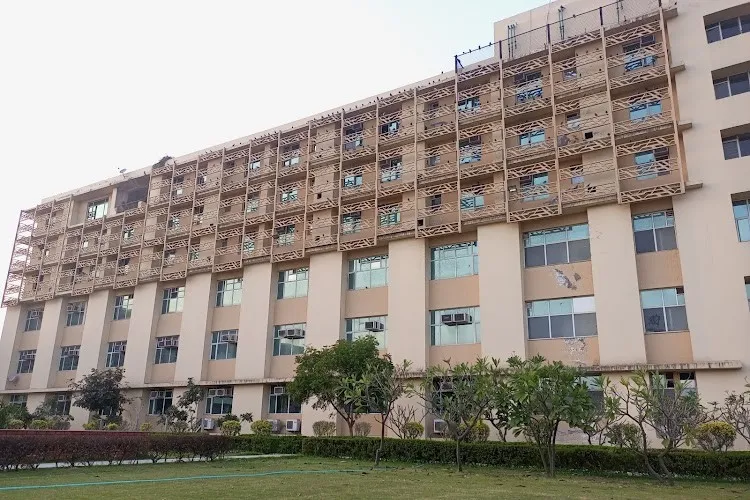Rajiv Gandhi Education City Sonipat